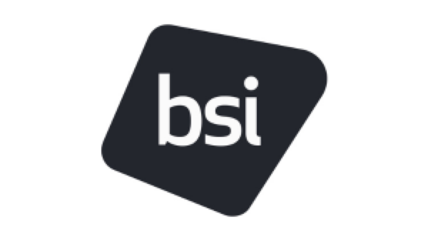 British Standards Institution logo