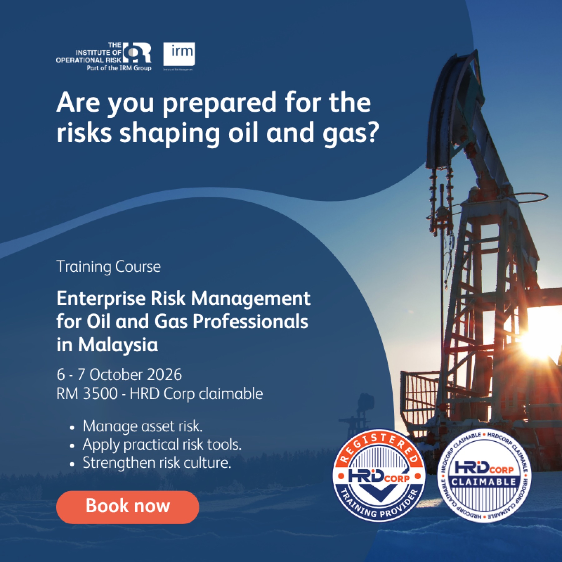 Artwork for an Institute of Risk Management course
